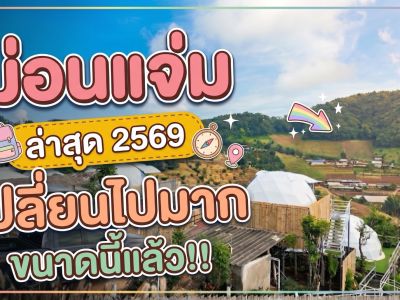 ม่อนแจ่ม ล่าสุด 2569 รถเก๋งขึ้นได้ไหม? สำรวจที่พัก ฟาร์มแกะอัลปาก้า สวนส้ม และสวนดอกไม้