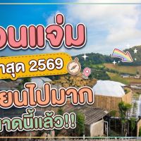 ม่อนแจ่ม ล่าสุด 2569 รถเก๋งขึ้นได้ไหม? สำรวจที่พัก ฟาร์มแกะอัลปาก้า สวนส้ม และสวนดอกไม้