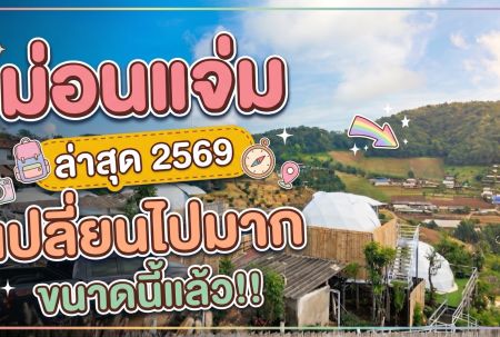 ม่อนแจ่ม ล่าสุด 2569 รถเก๋งขึ้นได้ไหม? สำรวจที่พัก ฟาร์มแกะอัลปาก้า สวนส้ม และสวนดอกไม้