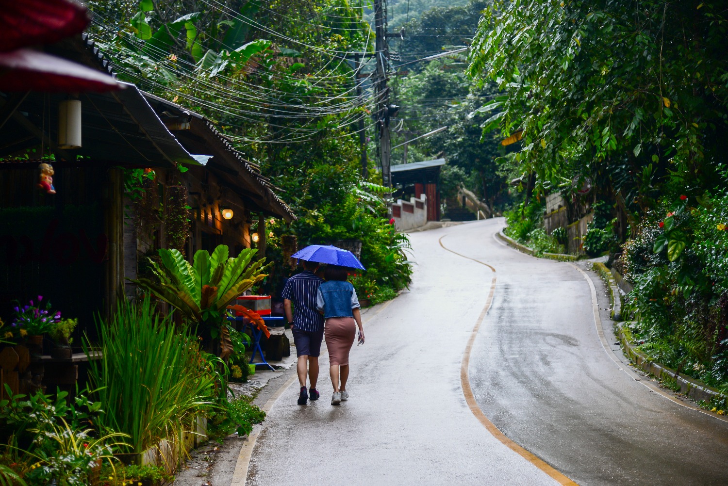 night-road-ban-mae-kampong-village-chiangmai-thailand.jpg