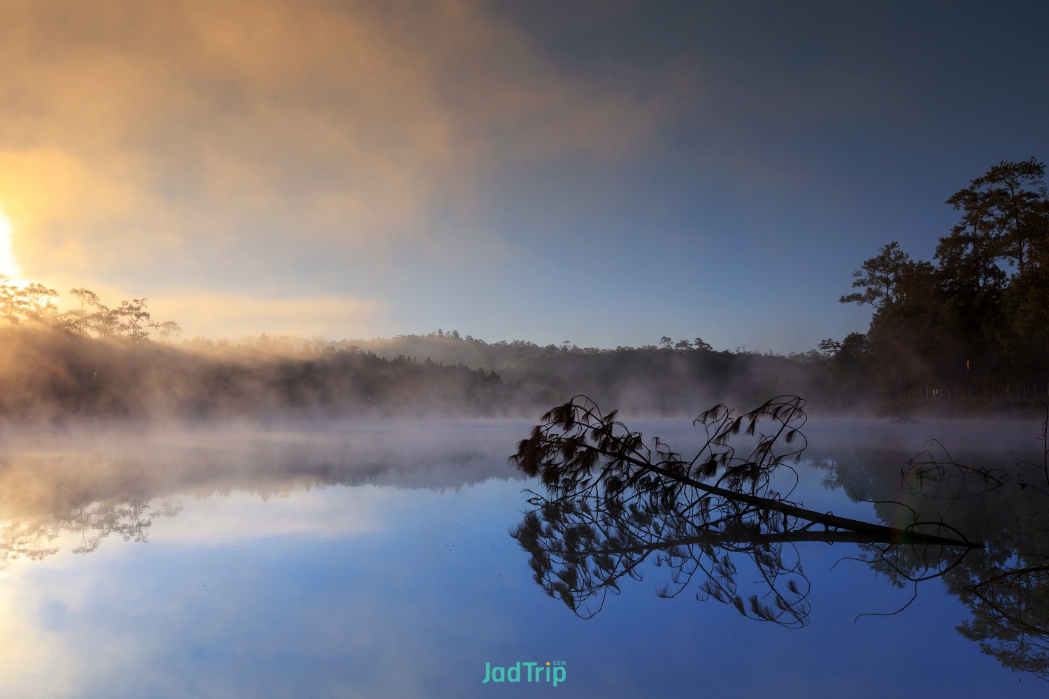 lake-pine-forest-morning-time-chiang-mai-thailand.jpg