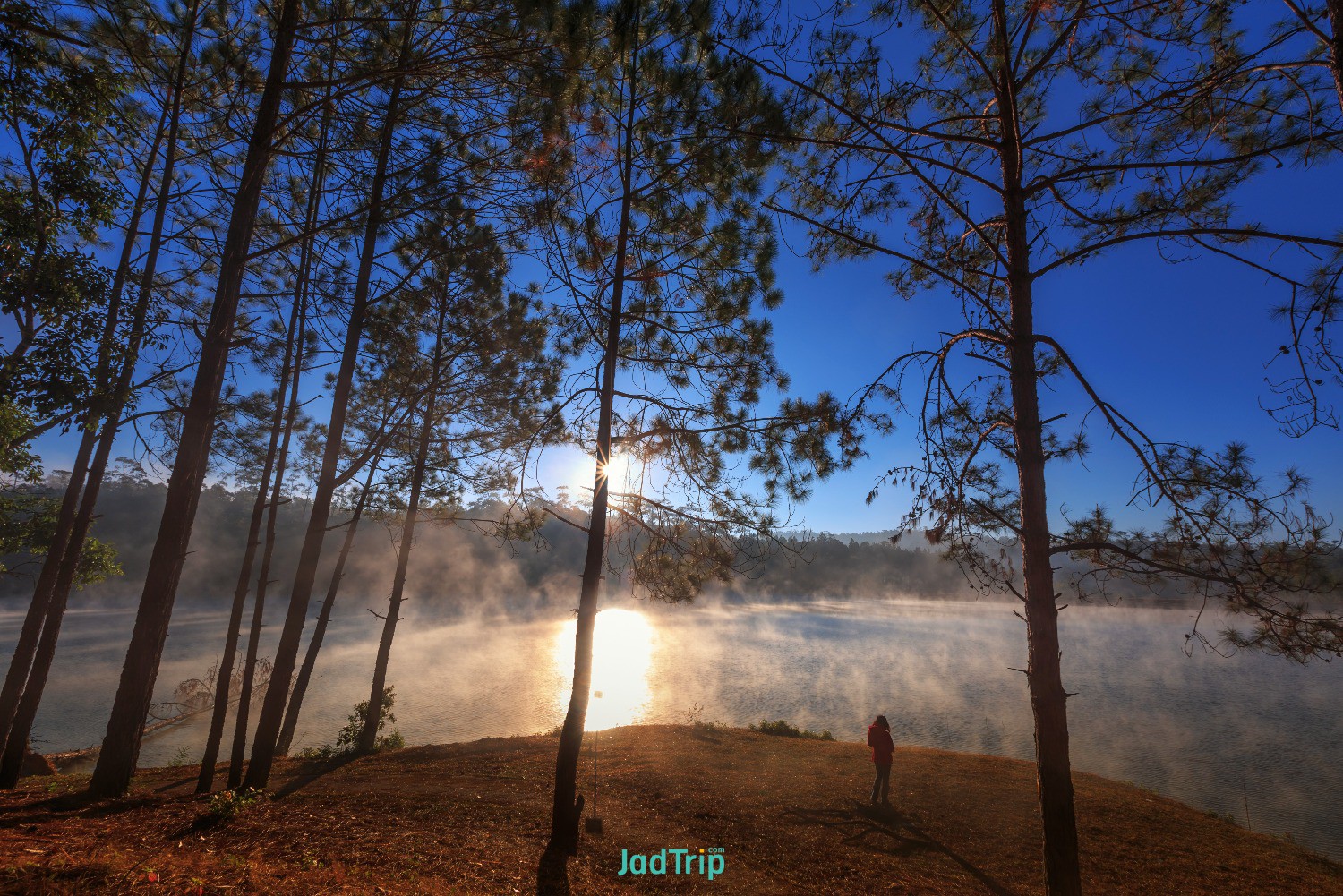 lake-pine-forest-morning-time-chiang-mai-thailand.jpg