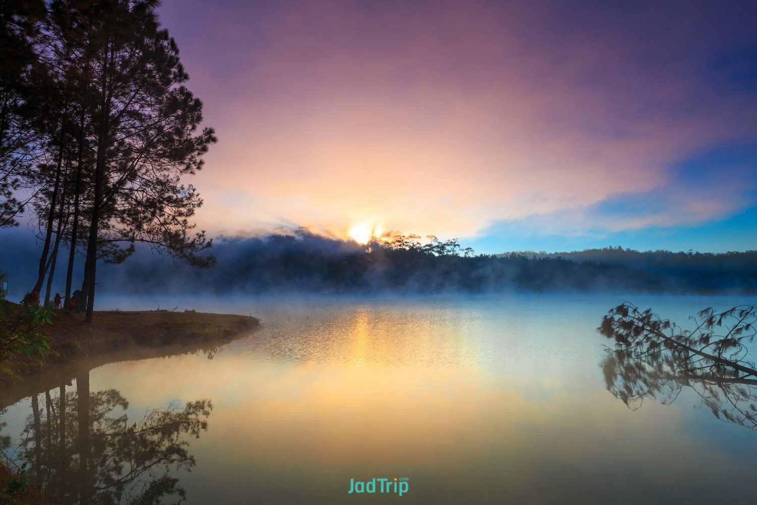 lake-pine-forest-morning-time-chiang-mai-thailand.jpg