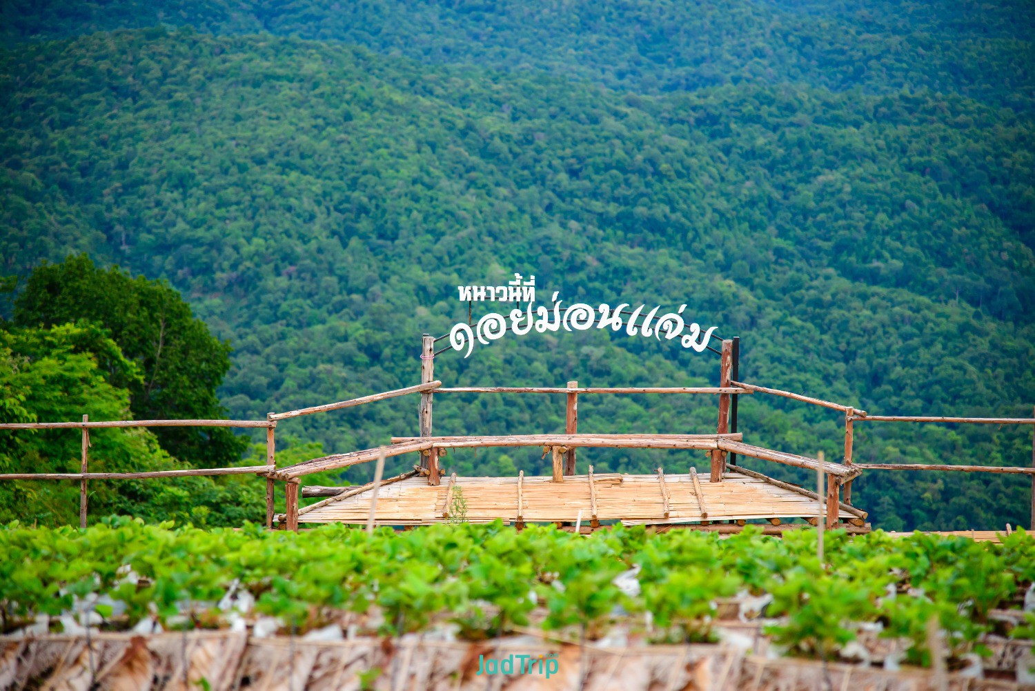 view-point-doi-mon-jam-famous-tourist-attractions-northern-thailand.jpg