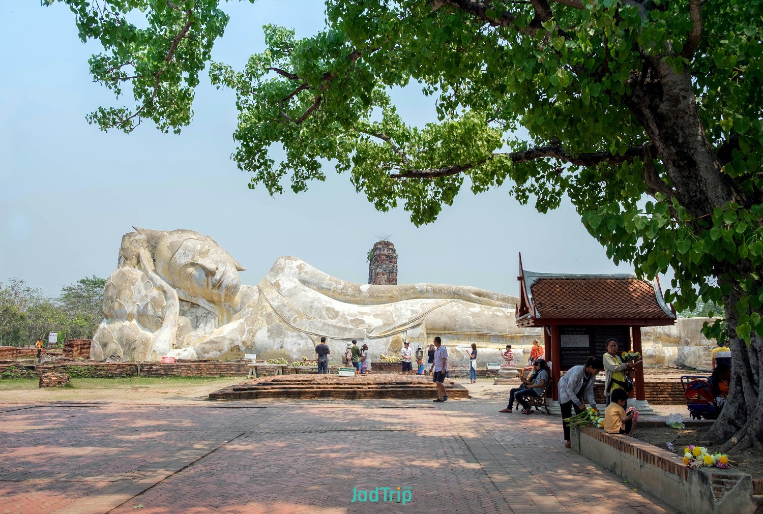 wat-lokayasutharam-ayuthaya-thailand.jpg