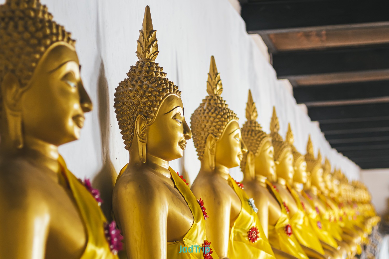 young-novice-monk-walking-meditation-wat-phutthaisawan-temple-ayutthaya-thailand.jpg