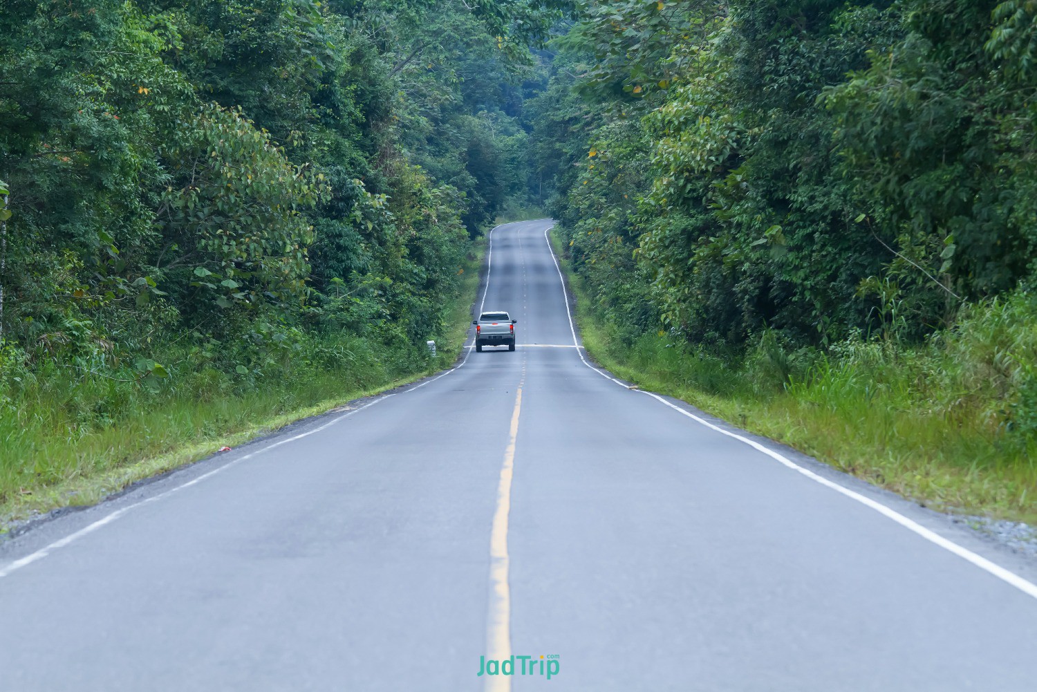 young-male-tourists-carrying-backpack-travel-by-hitchhiking-travel-by-hitchhikin.jpg