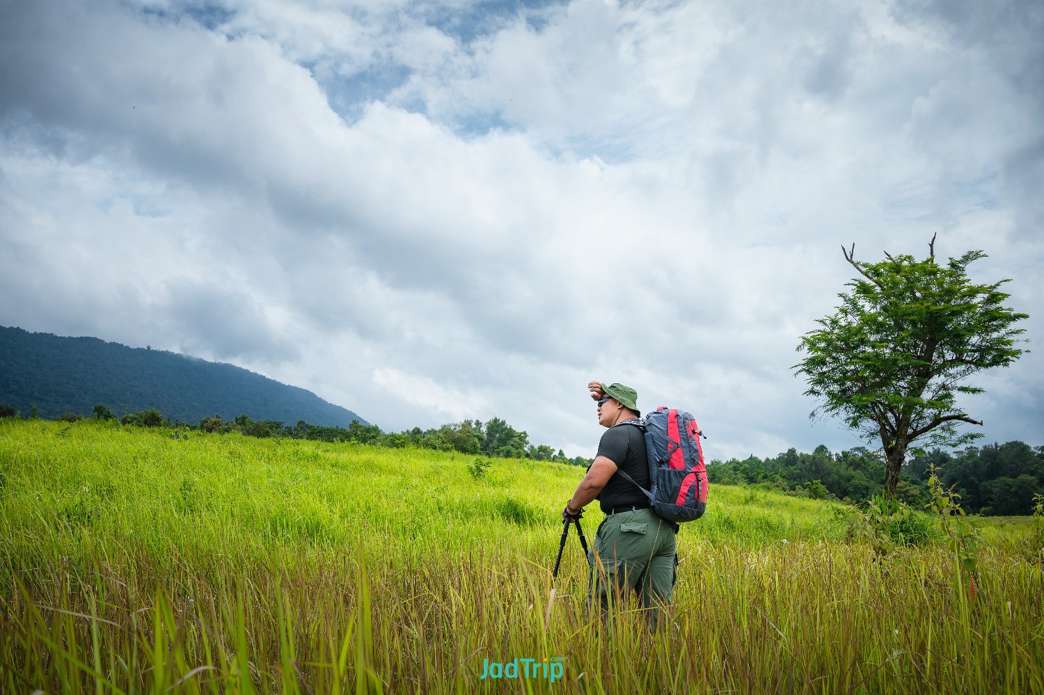 young-male-tourists-carrying-backpack-travel-by-hitchhiking-travel-by-hitchhikin.jpg