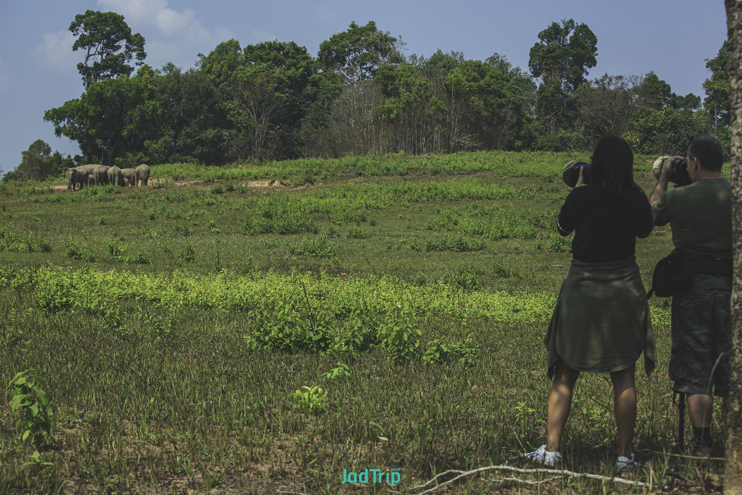 young-male-tourists-carrying-backpack-travel-by-hitchhiking-travel-by-hitchhikin.jpg