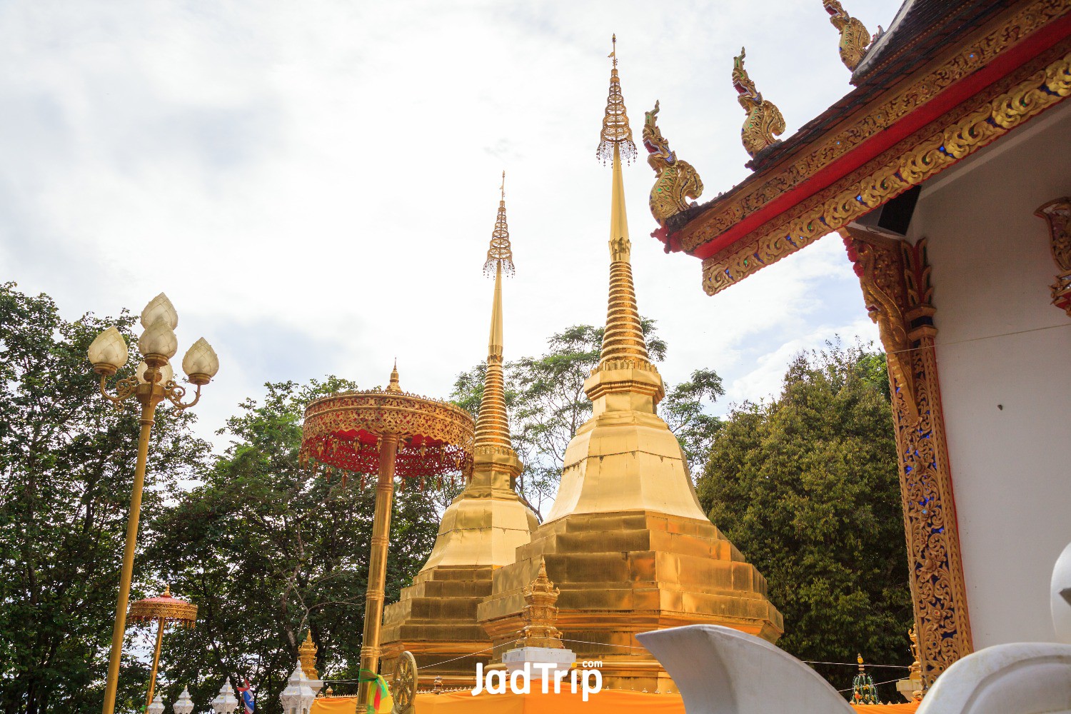 wat-phra-that-doi-tung-temple-with-public-domain-has-two-golden-pagodas-containi.jpg