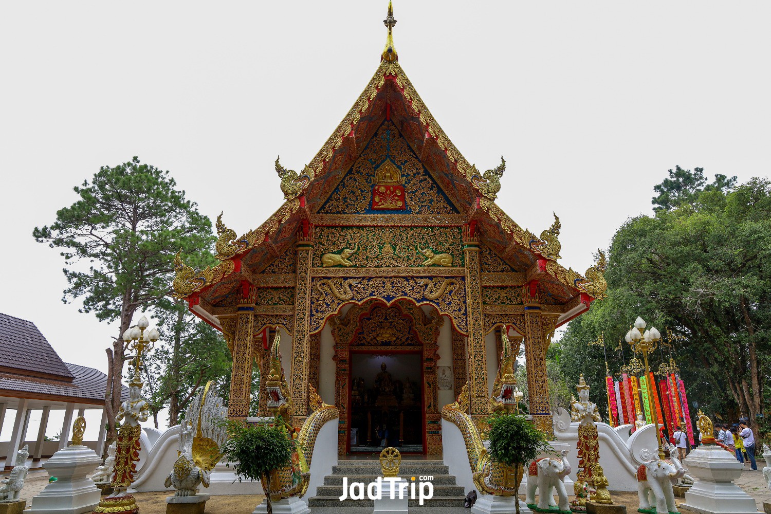 wat-phra-that-doi-tung-temple-with-public-domain-has-two-golden-pagodas-containi.jpg