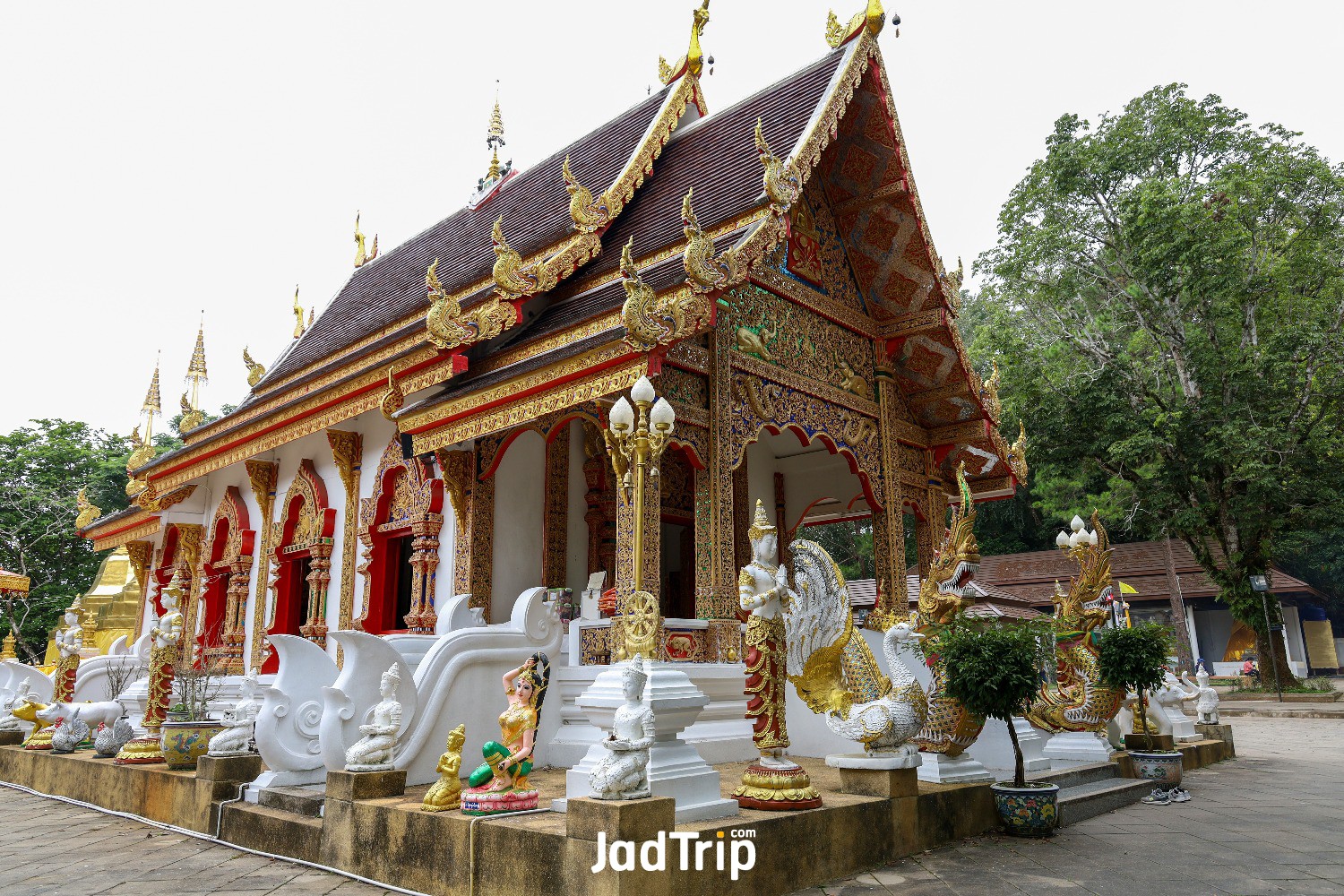 wat-phra-that-doi-tung-temple-with-public-domain-has-two-golden-pagodas-containi.jpg