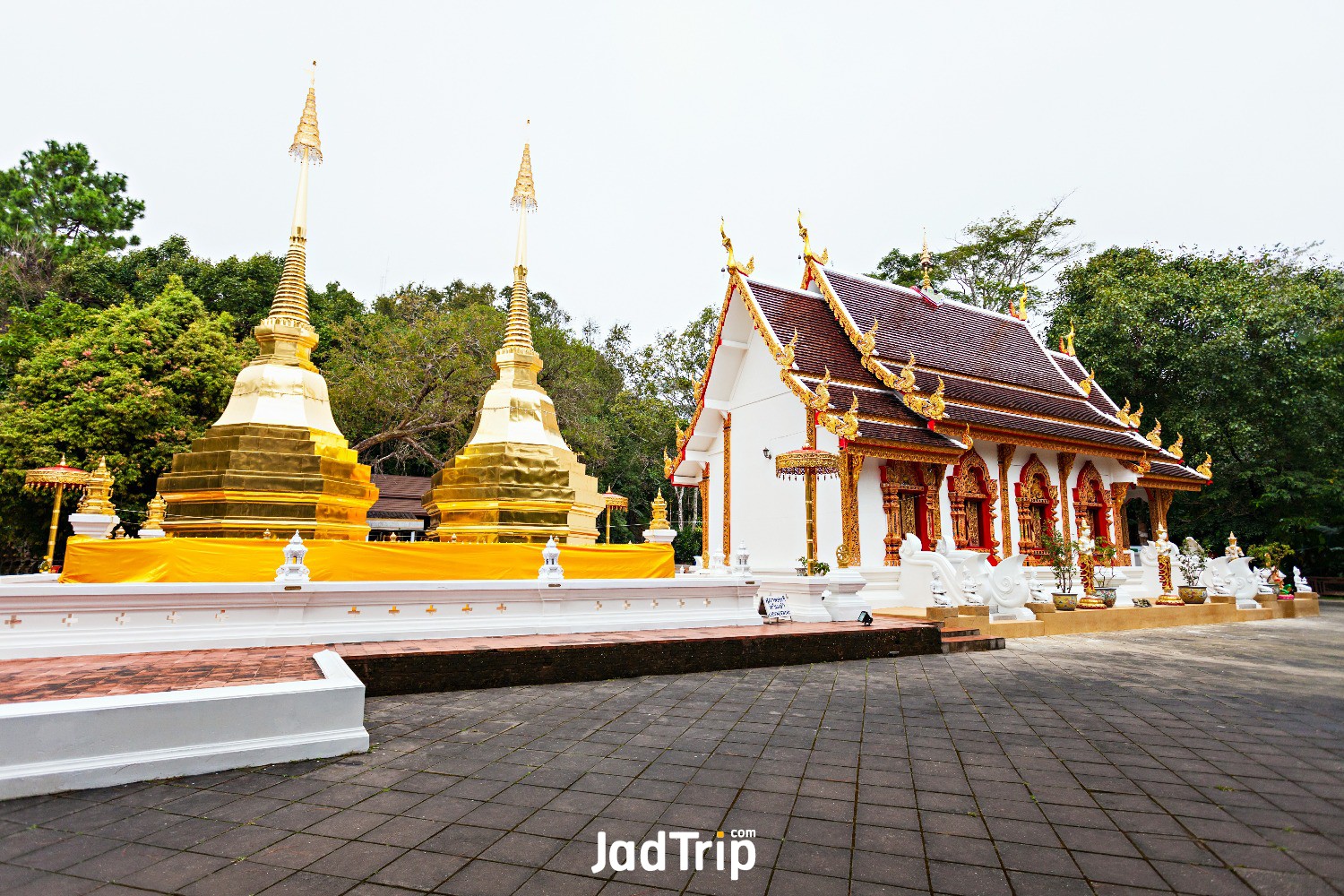 wat-phra-that-doi-tung-temple-with-public-domain-has-two-golden-pagodas-containi.jpg