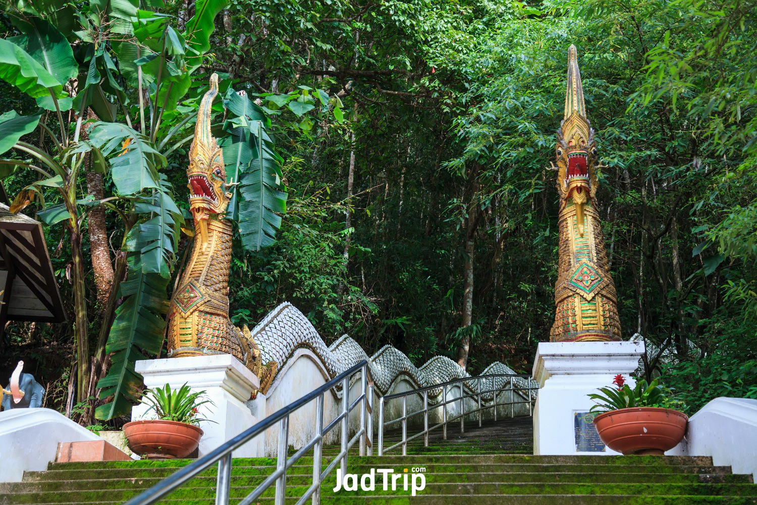 wat-phra-that-doi-tung-temple-with-public-domain-has-two-golden-pagodas-containi.jpg