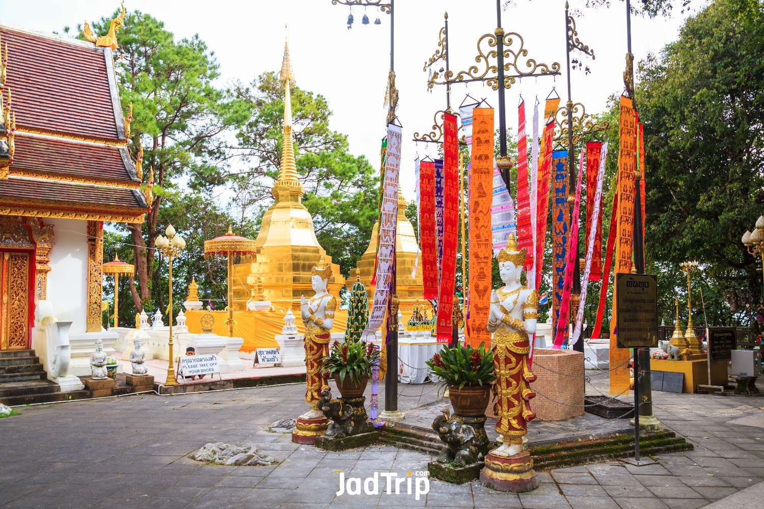 wat-phra-that-doi-tung-temple-with-public-domain-has-two-golden-pagodas-containi.jpg