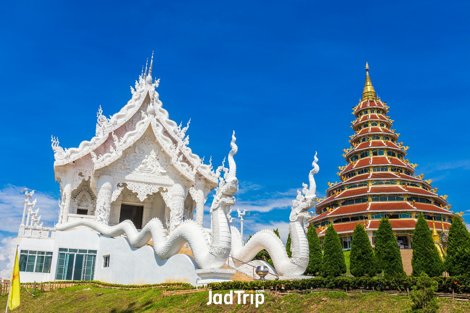 white-dragon-statue-way-up-large-statue-guan-yin-wat-huay-pla-kang-chiang-rai.jpg