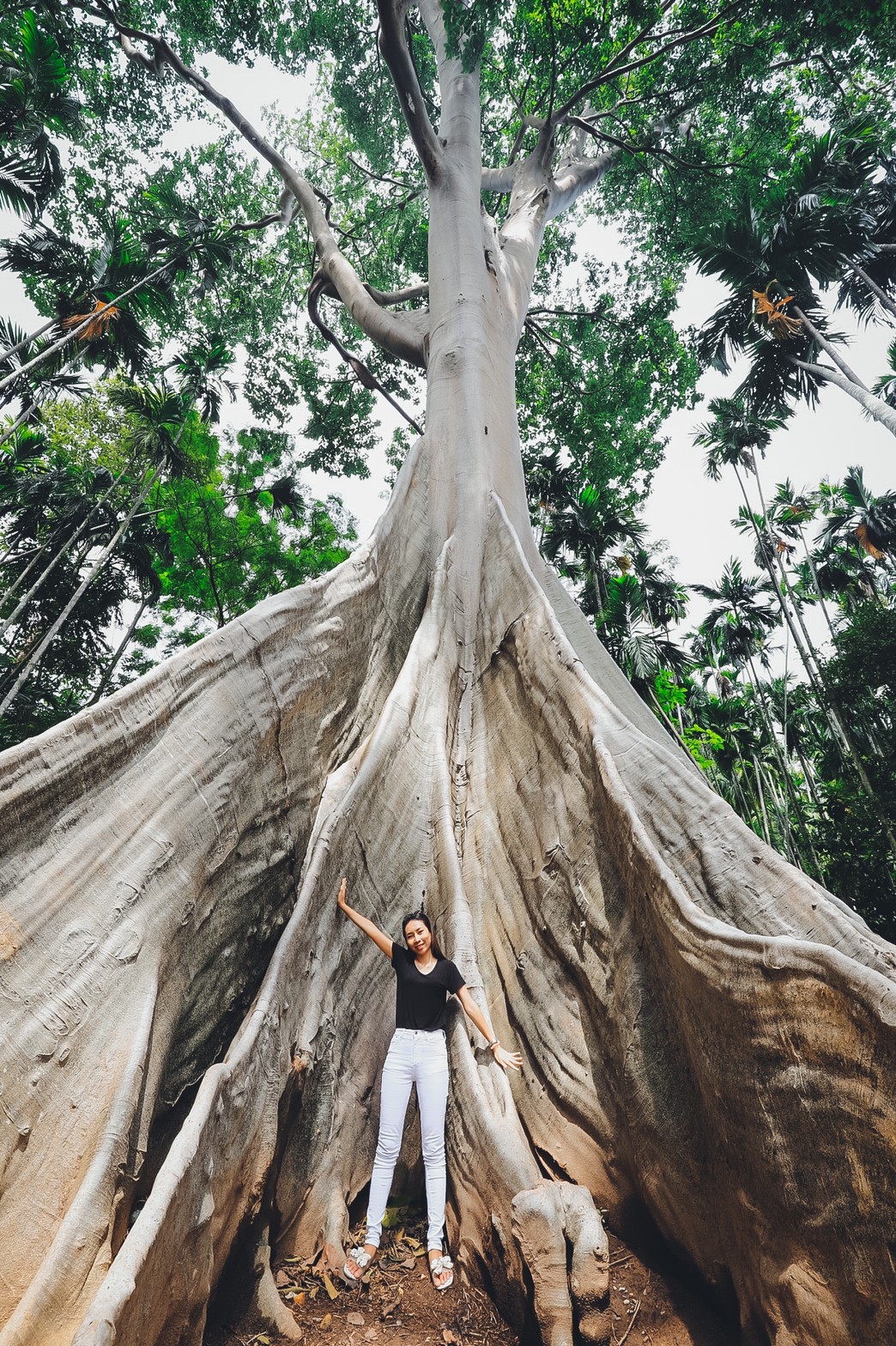 LINE_ALBUM_ต้นไม้ยักษ์ แต่ง_220324_5.jpg