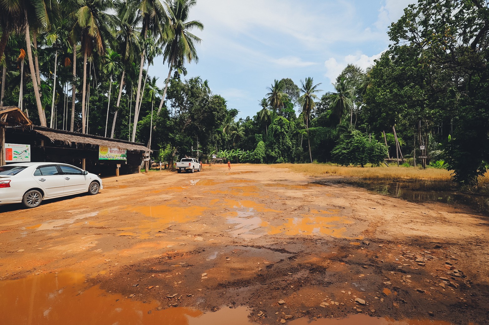 LINE_ALBUM_ต้นไม้ยักษ์ แต่ง_220324_8.jpg