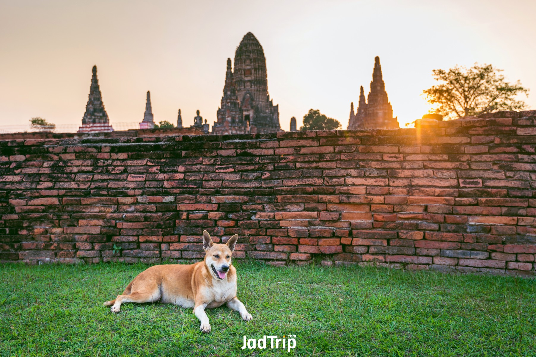 วัดไชยวัฒนาราม อยุธยา_jadtrip6.jpg