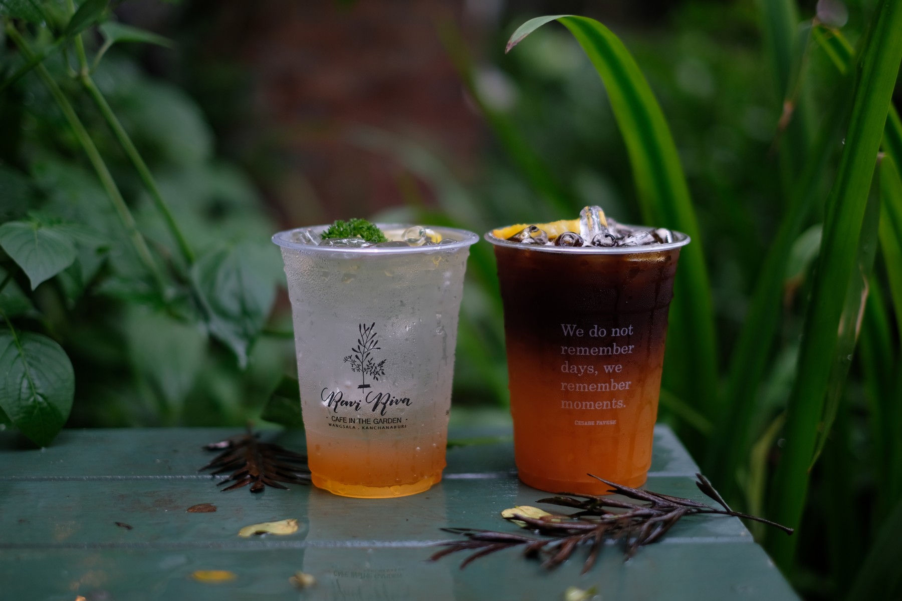 RAVI RIVA CAFE_jadtrip (11).jpg