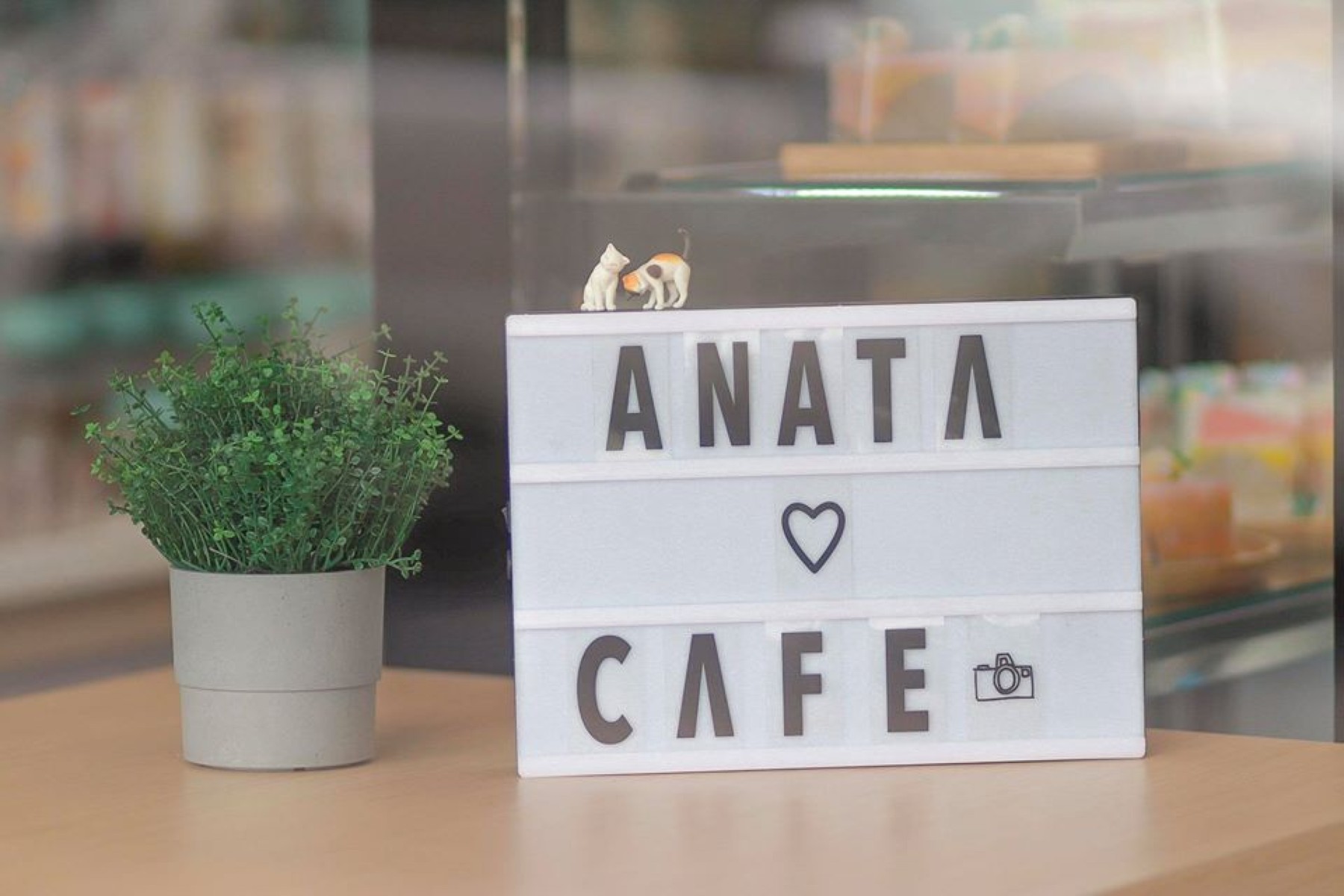 anata cafe -アナタ_jadtrip (22).jpg