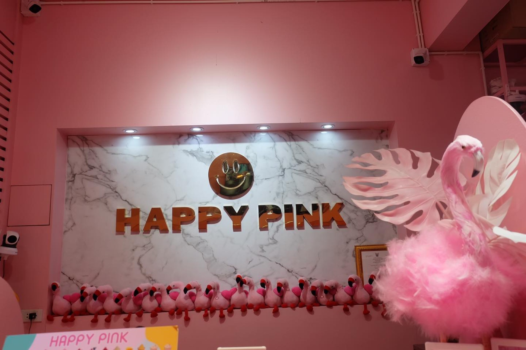 HAPPY PINK_jadtrip (17).jpg