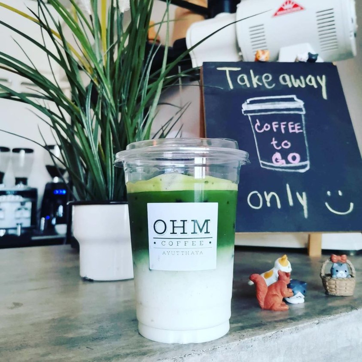 OHM Coffee Roaster_jadtrip (7).jpg