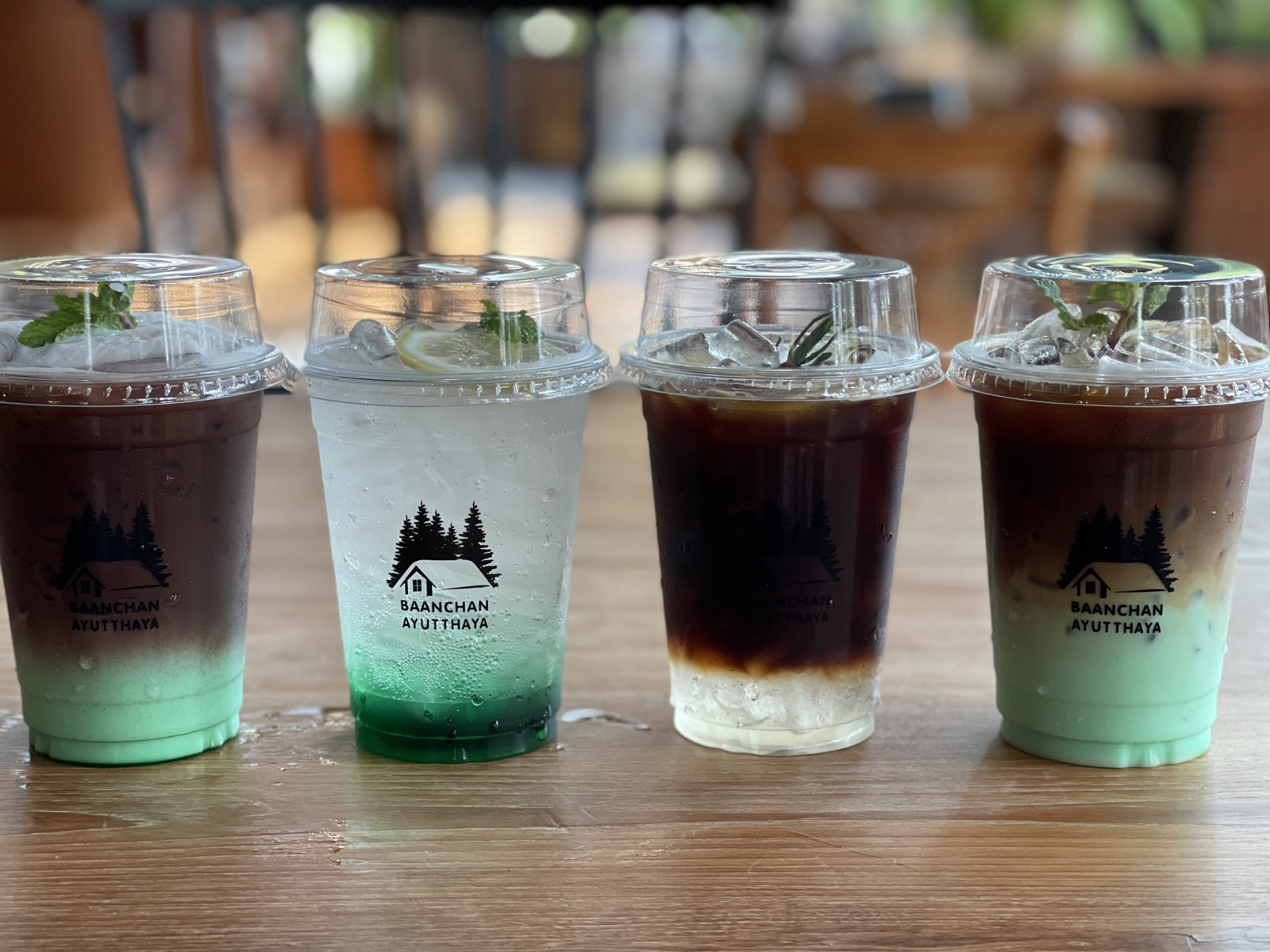 Baan Chan Ayutthaya jadtrip (39).jpg