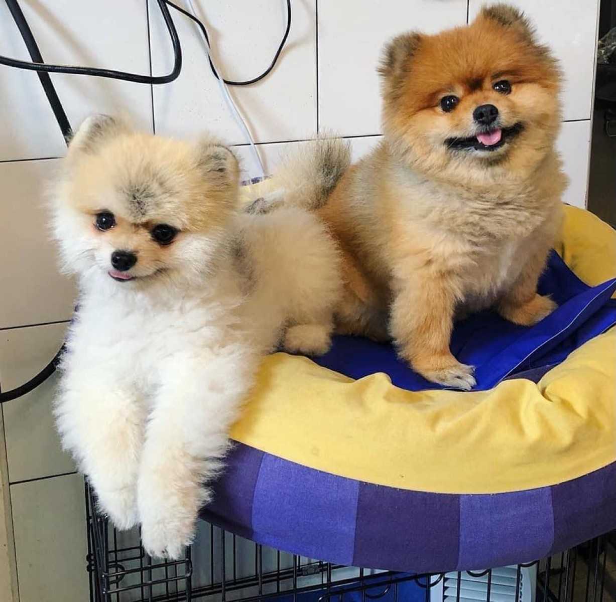 Handmaker Coffee &amp; Co._jadtrip.jpg