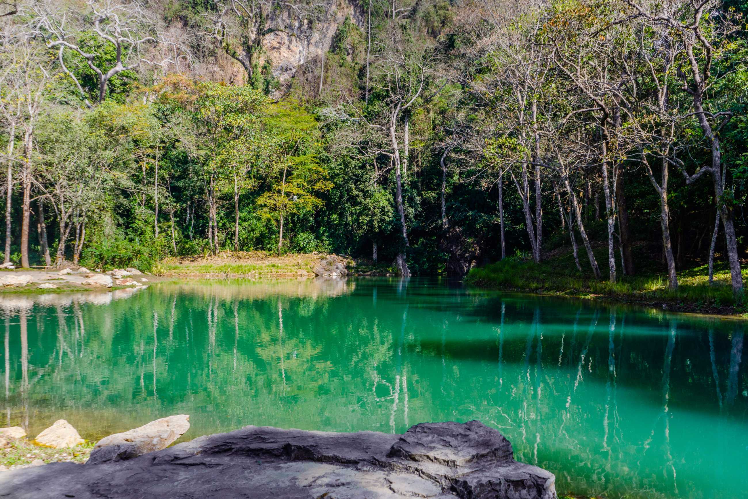 swamp-tham-luang-khun-nam-nang-non-forest-park-chiang-rai-nort-thailand_แปลงไฟล์.jpg