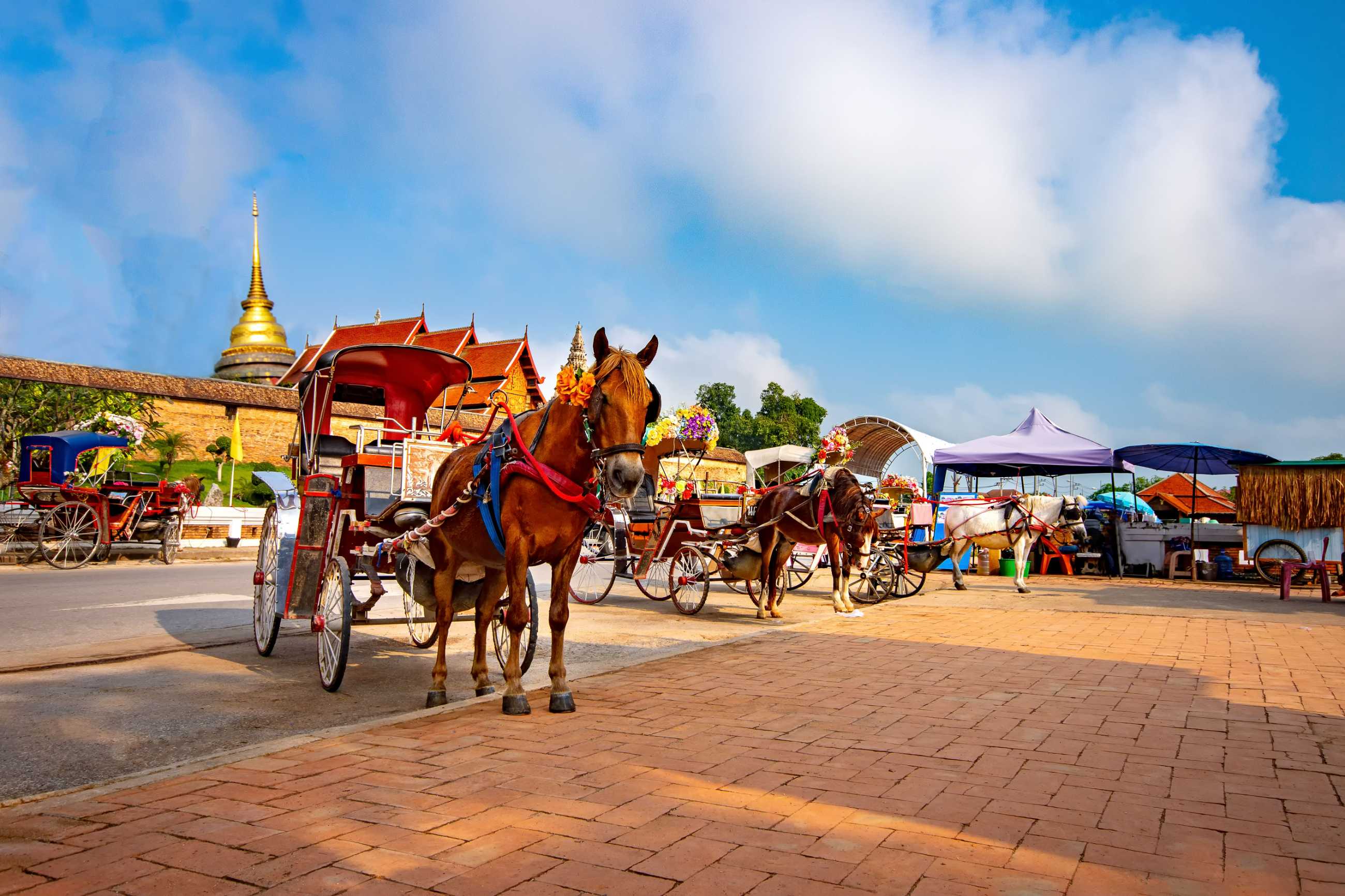 horse-carriage-lampang-wat-phra-that-lampang-luang_jadtrip.com.jpg