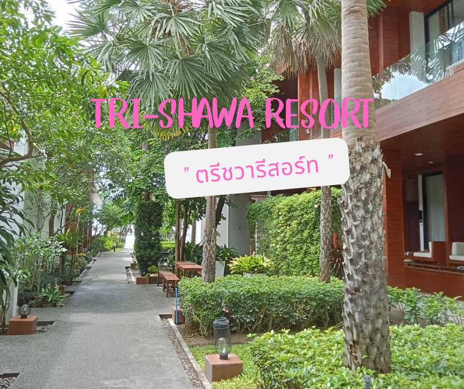 Tri-shawa Resort_20240826_160125_0000.png