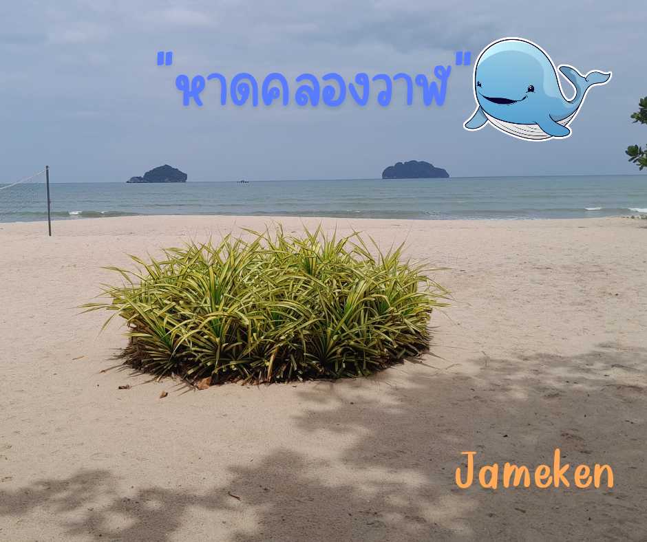 2.หาดคลองวาฬ_20240928_115630_0000.png