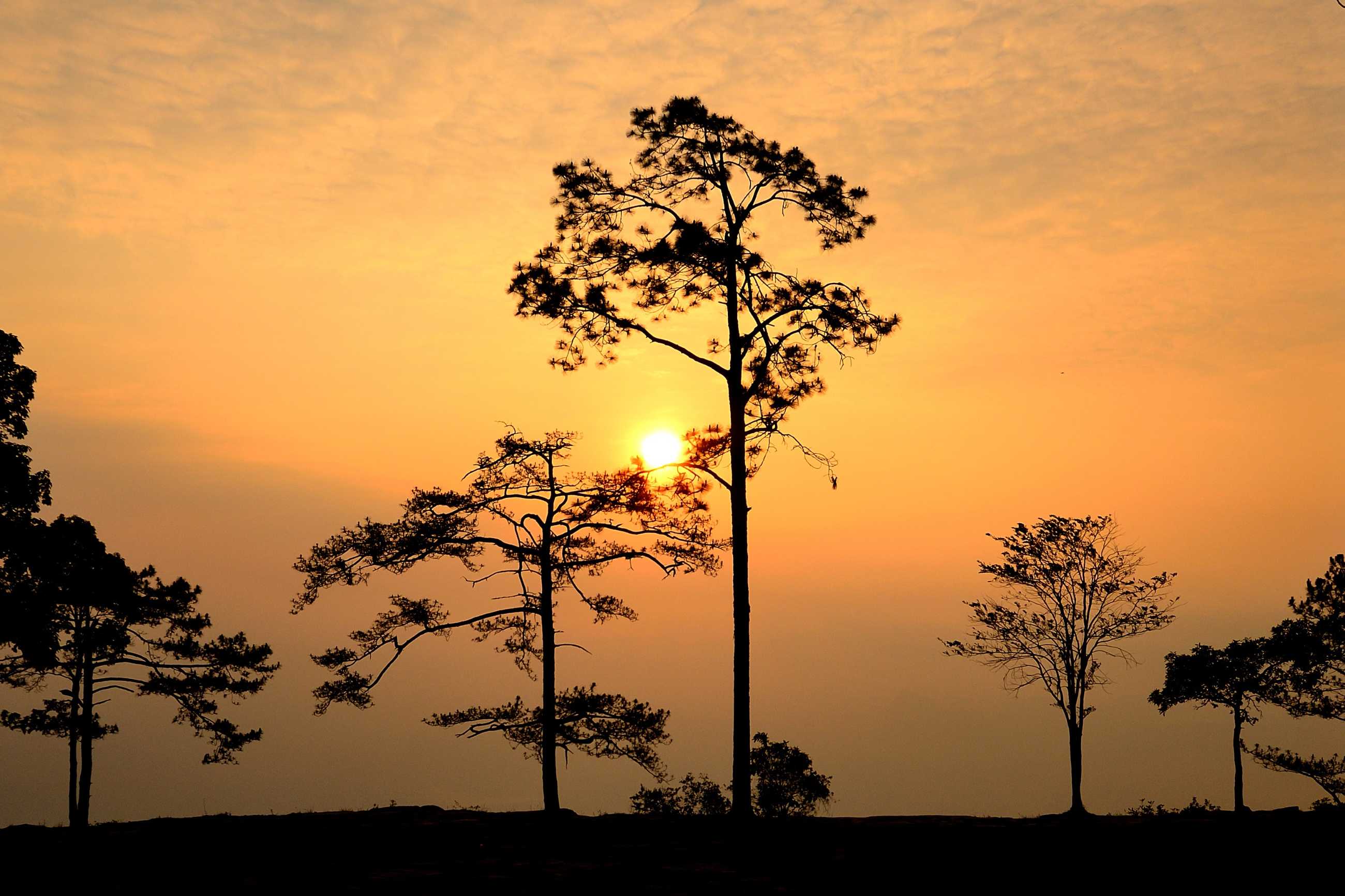 phu-kradueng-national-park (2)_jadtrip.jpg