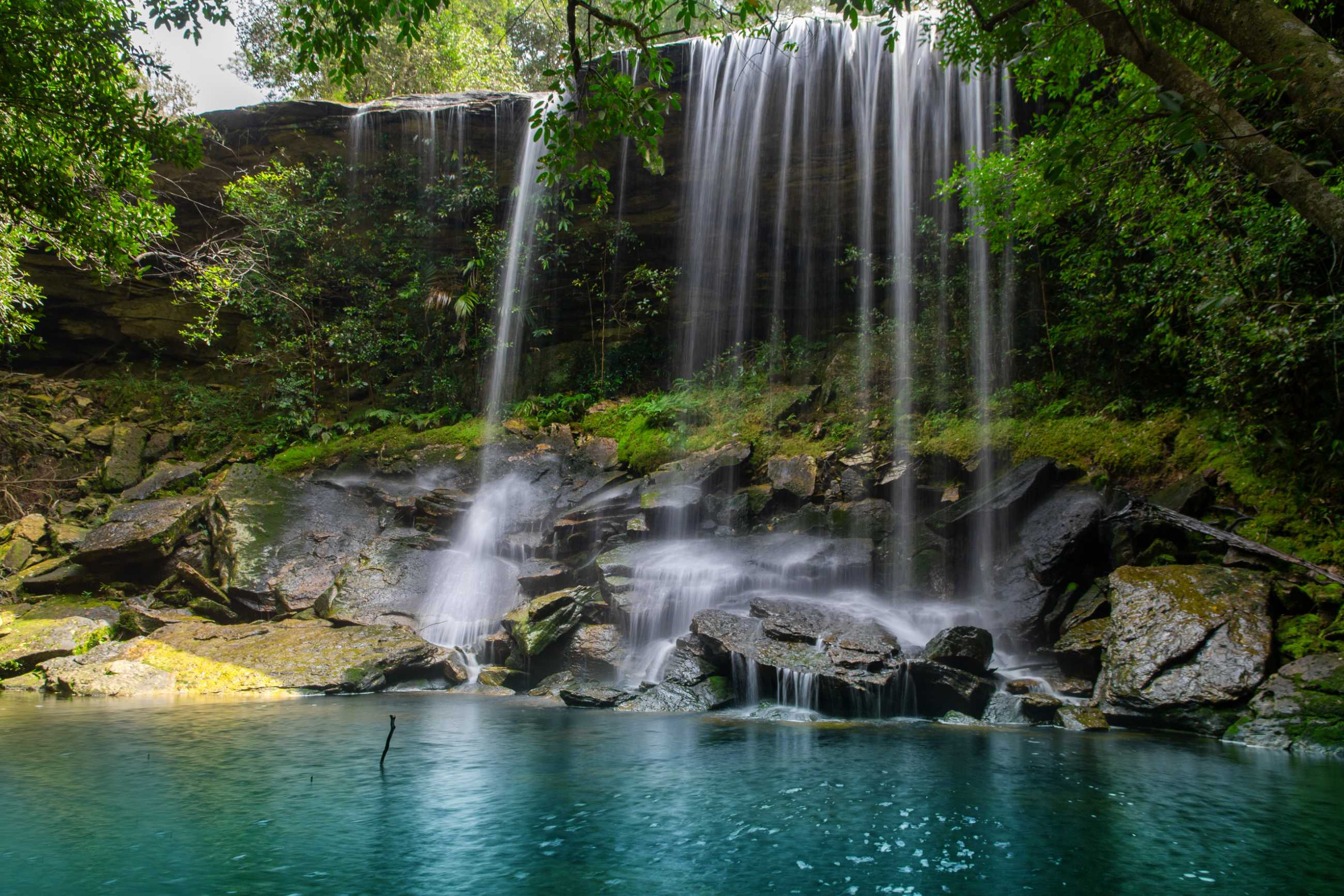 waterfall-forest-phu-kradueng-national-park-loei-province-southeast-asia-thailan.jpg