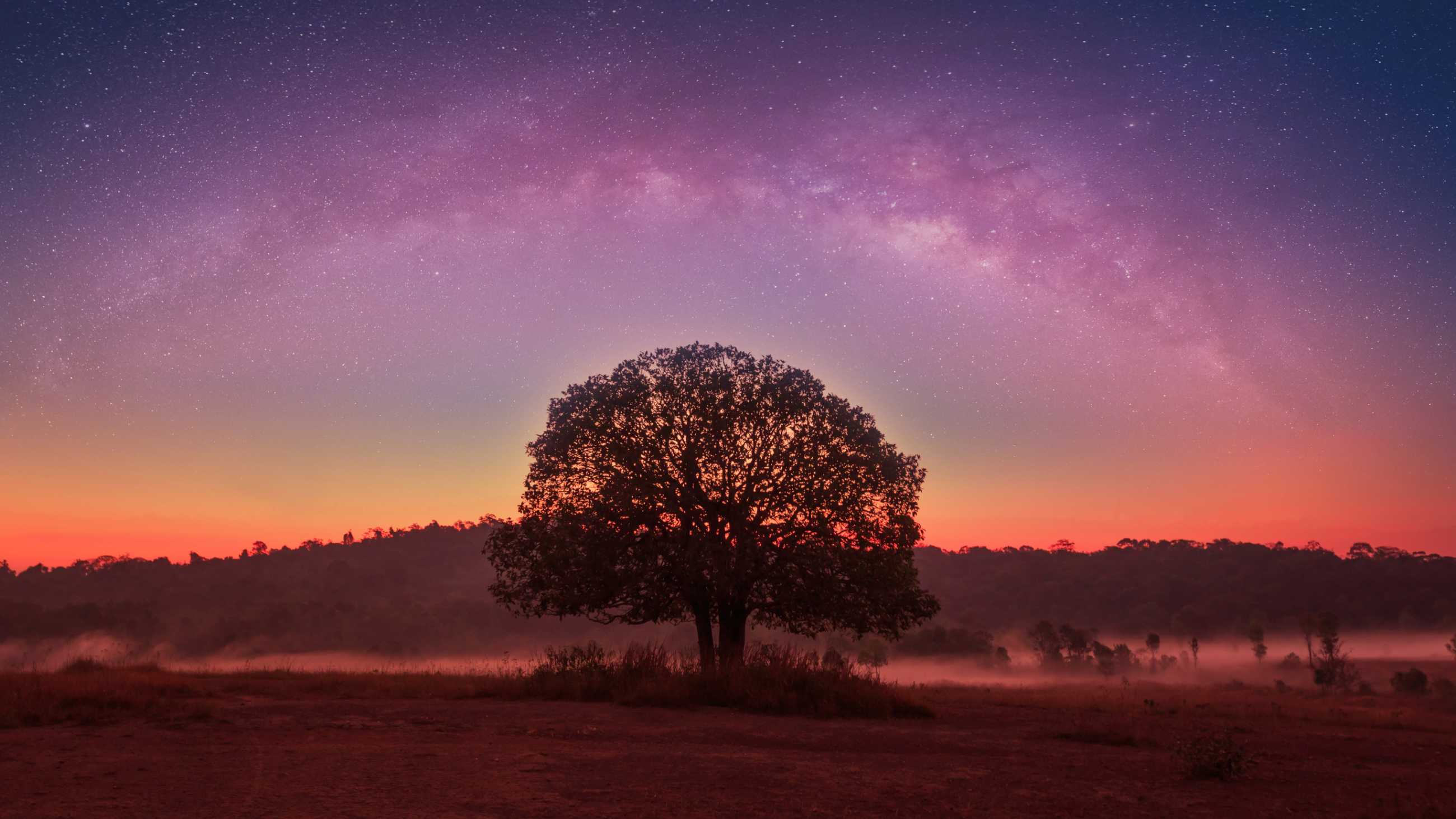 milky-way-alone-tree-field-thung-kamang-nature-park-chaiyaphum-thailand_jadtrip.jpg