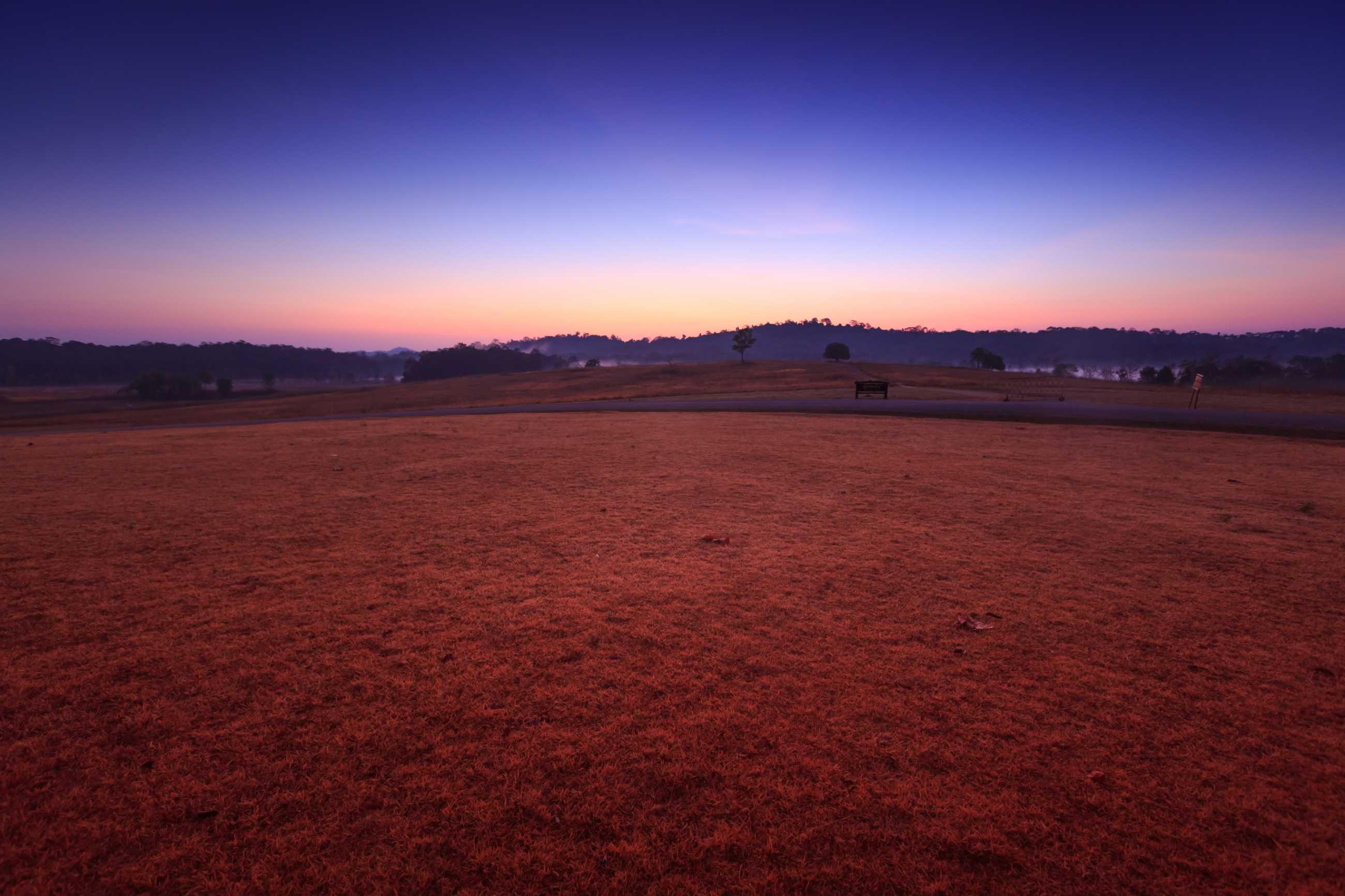 soil-path-with-field-morning-thung-kamang-nature-park-chaiyaphum-thailand (1)_jadtrip.jpg