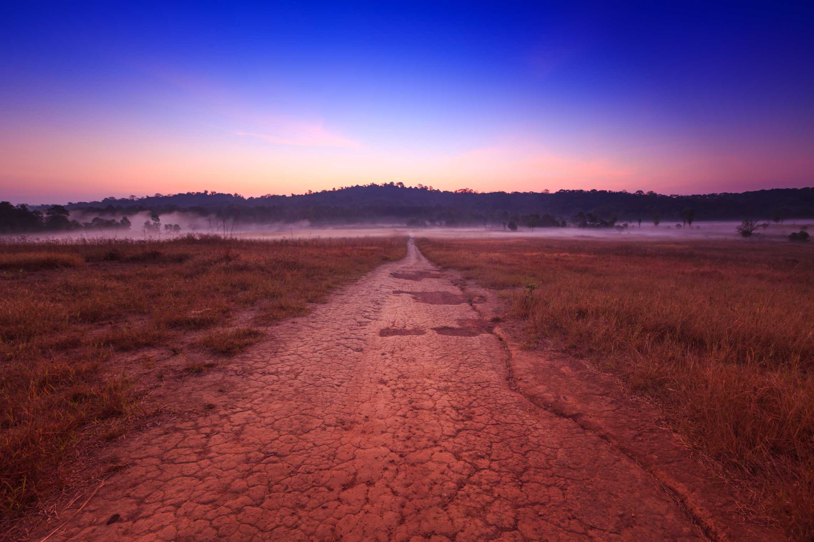 soil-path-with-field-morning-thung-kamang-nature-park-chaiyaphum-thailand_jadtrip.jpg