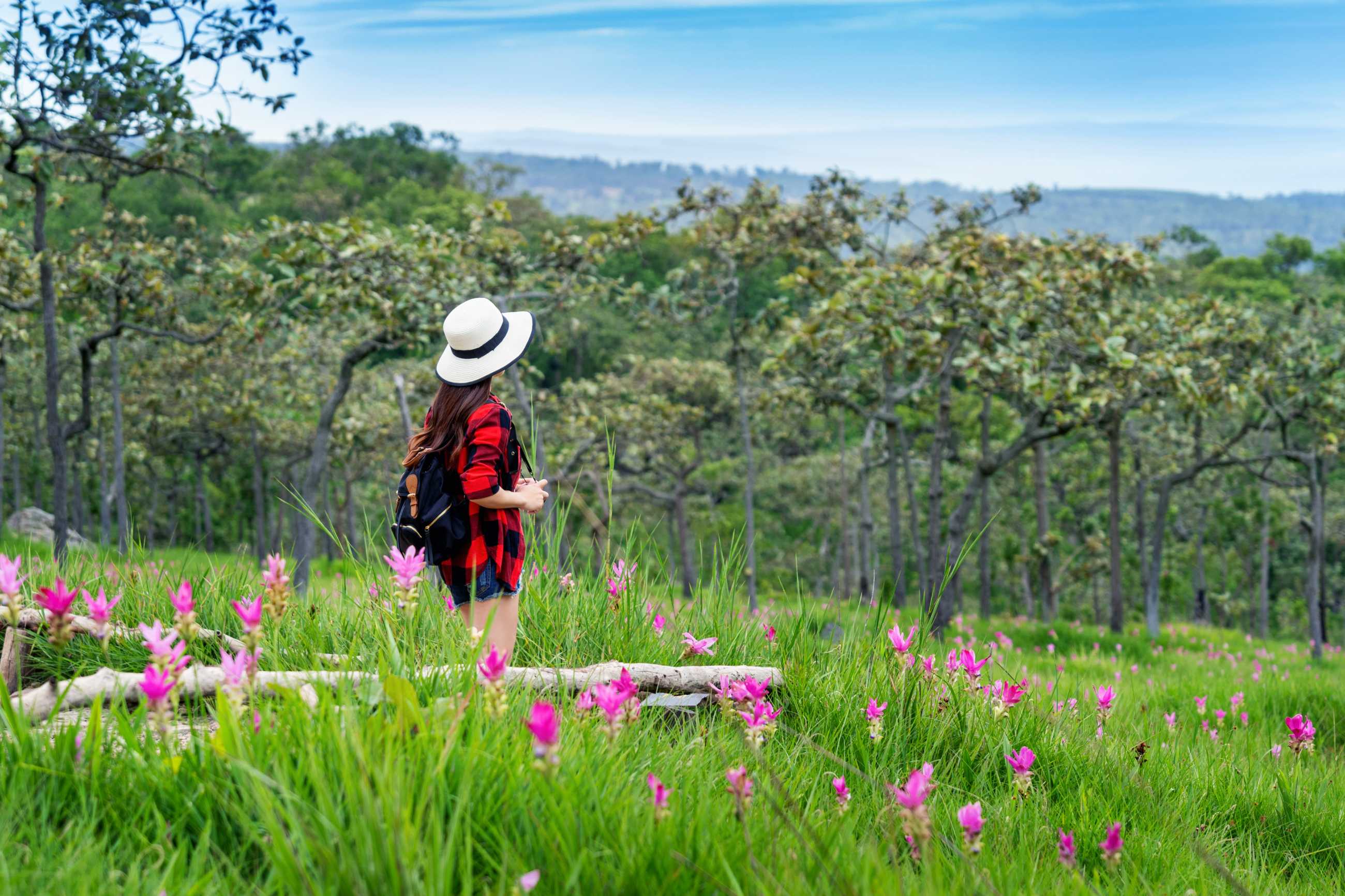 woman-traveler-with-backpack-enjoying-krachiew-flower-field-thailand-travel-conc.jpg