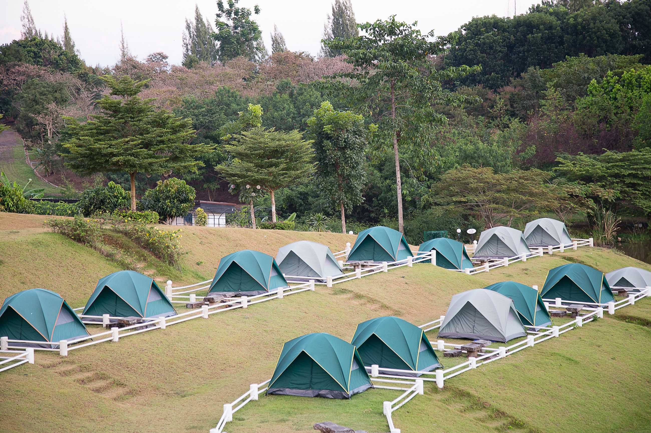 row-tent-stay-tourists-thailand_jadtrip.jpg