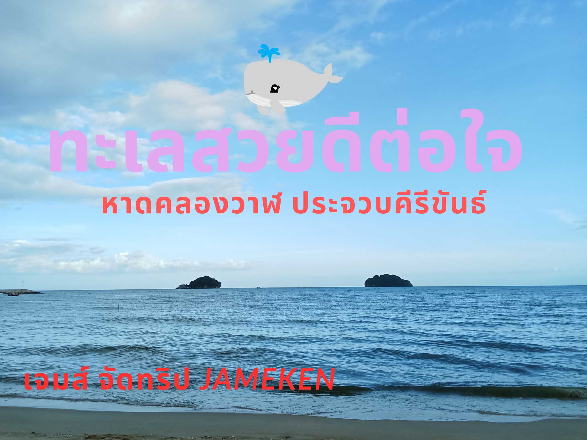 1000033662.png