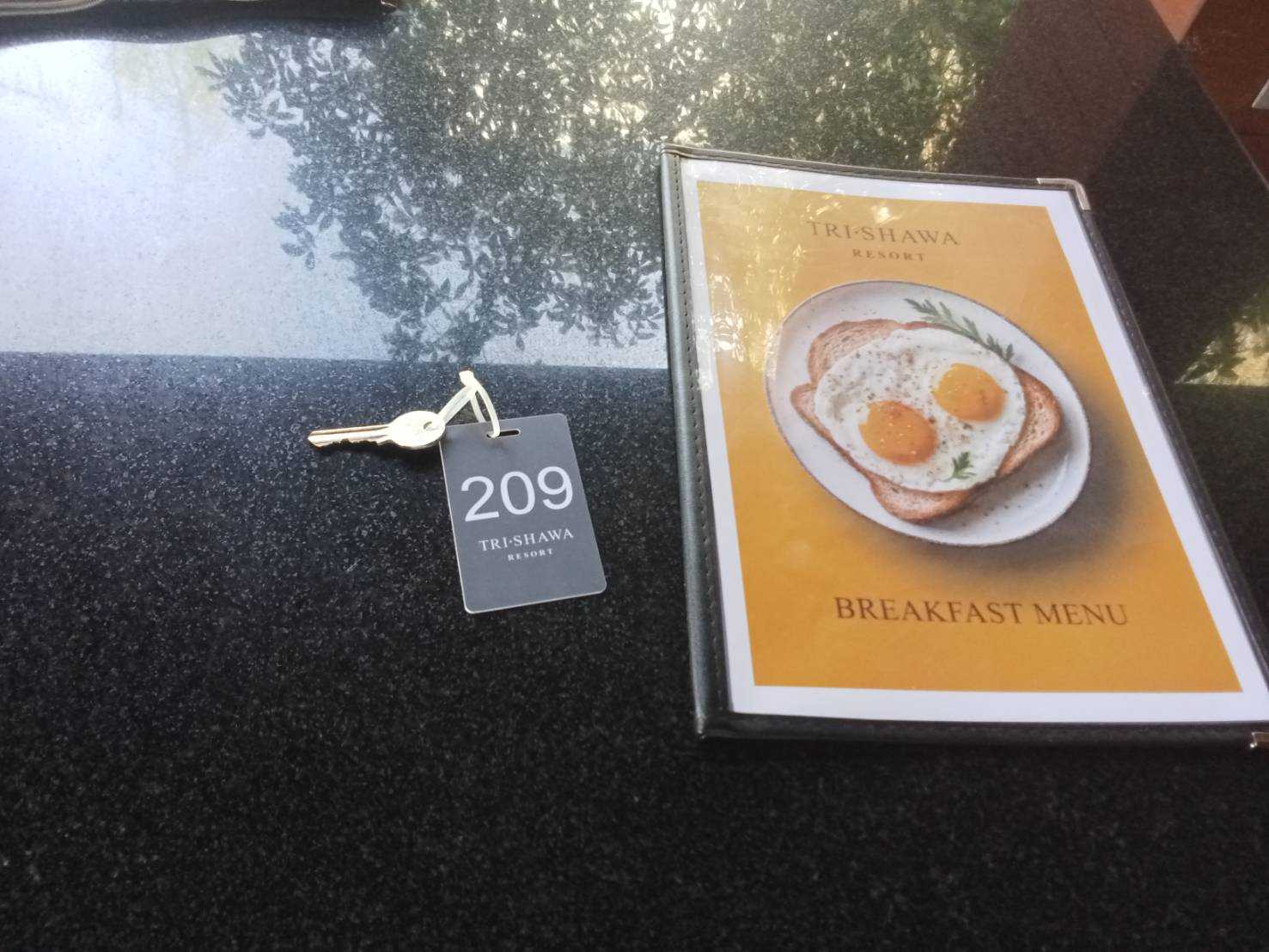 1000035207.jpg